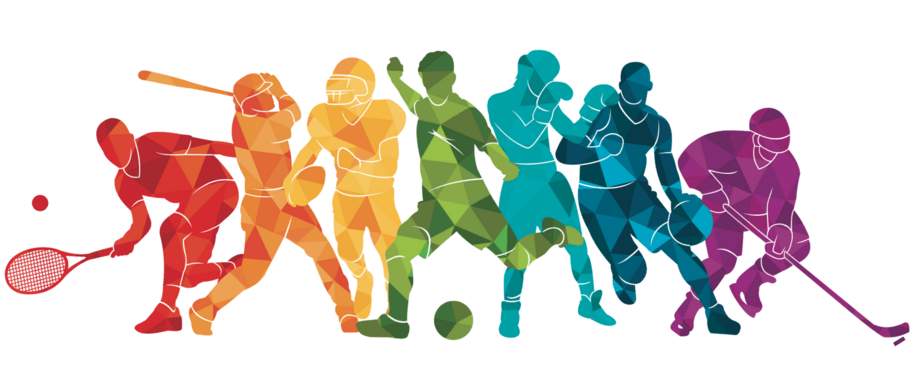 Физическая культура и спорт